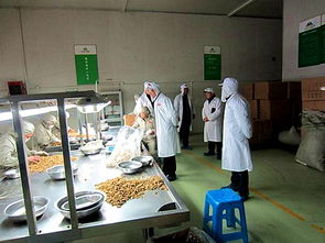 金海社區多措并舉，筑牢節前食品生產企業安全防線